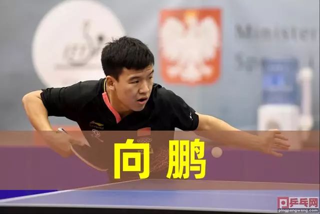 进而赢得罚 进而赢得罚