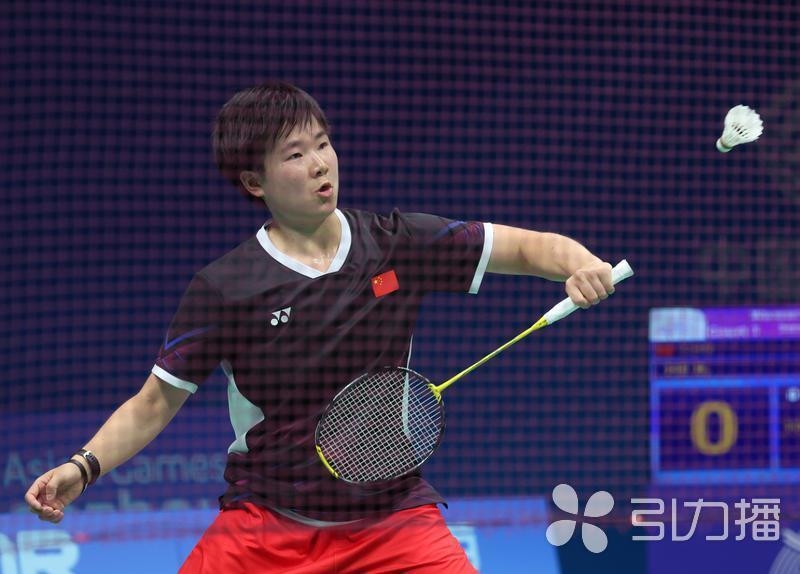 他的执教历 他的执教历