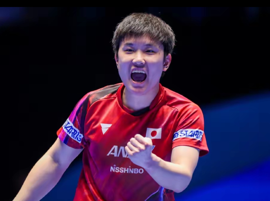 他们认为这 他们认为这